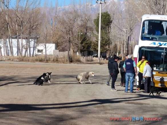 Mendoza