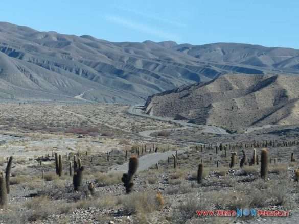 Salar grande Argentina