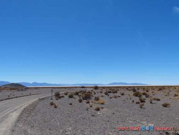 Salar grande Argentina