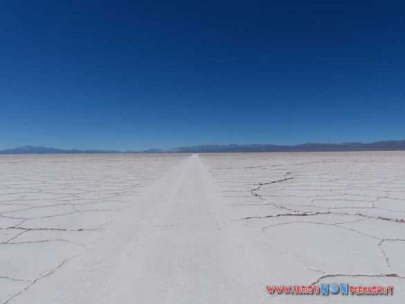 Salar grande Argentina