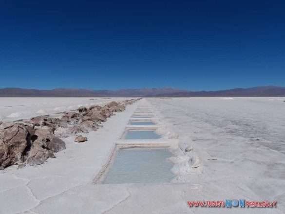 Salar grande Argentina
