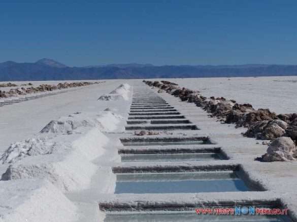 Salar grande Argentina