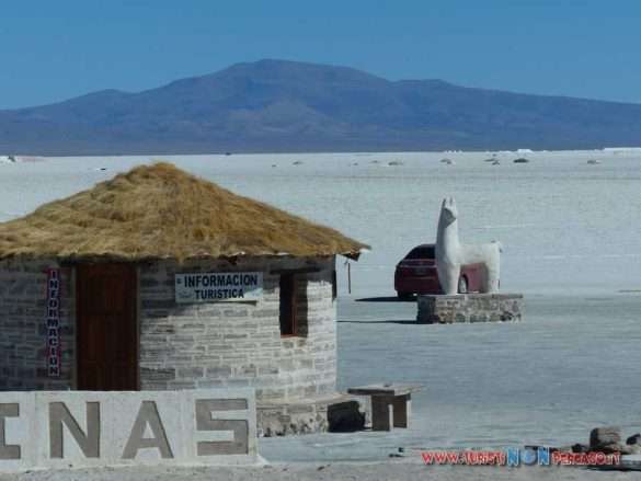 Salar grande Argentina