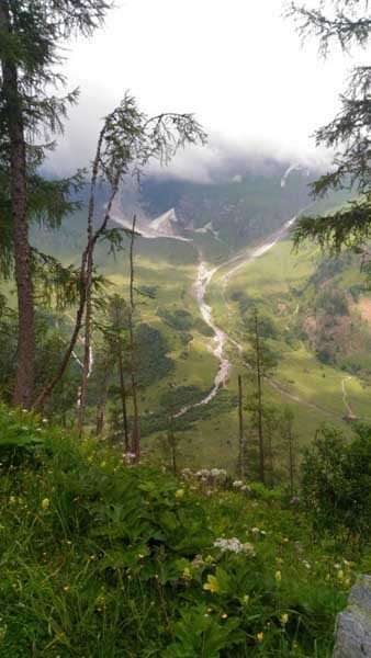 Foto Carnia