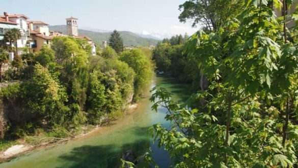 Foto Carnia