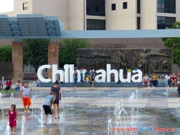 Fotografie Chihuahua