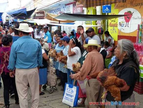 Oaxaca Messico