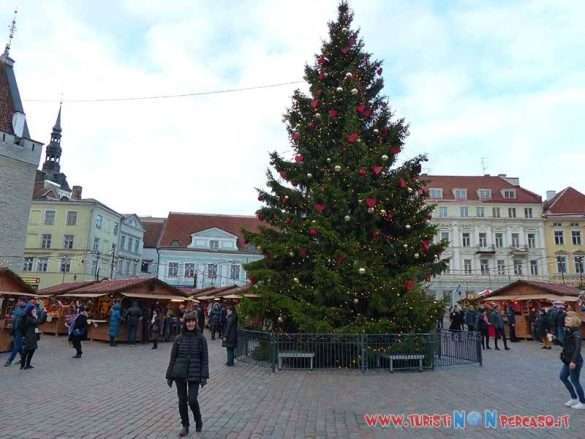 Tallin Estonia