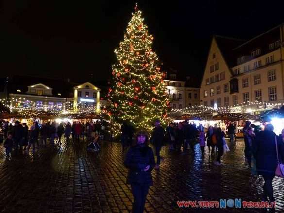 Tallin Estonia