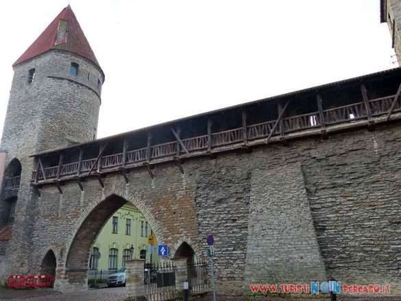 Tallin Estonia