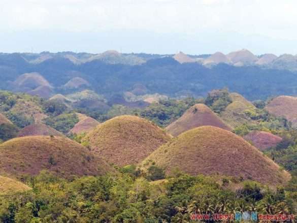 Bohol Panglao Philippines