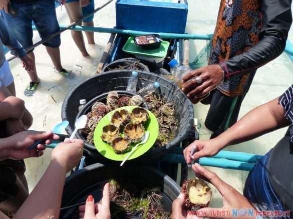 Bohol Panglao Philippines