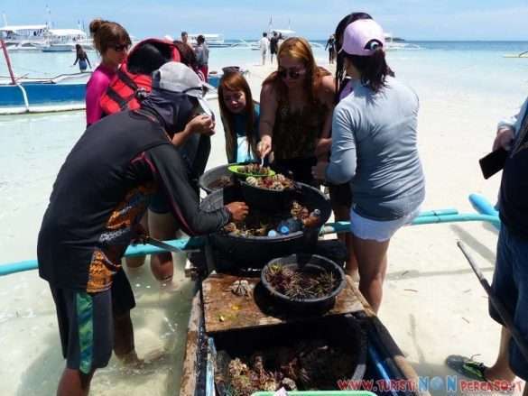 Bohol Panglao Philippines