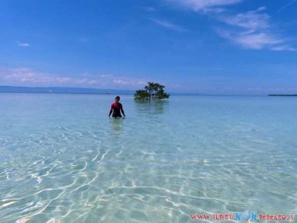 Bohol Panglao Philippines