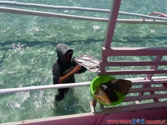 Dumaguete Isola di Negros