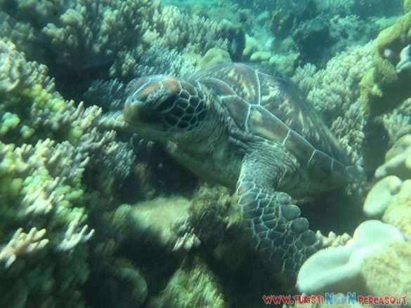 Dumaguete Isola di Negros