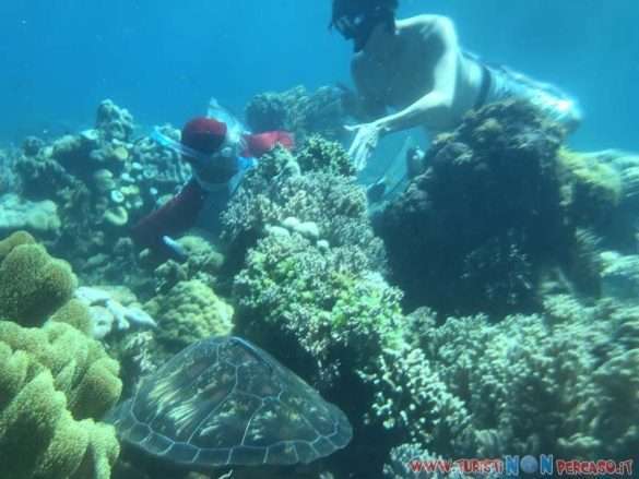 Dumaguete Isola di Negros