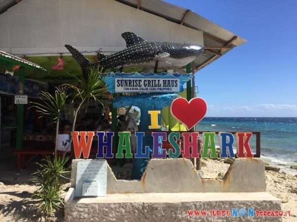 Moalboal Cebu Fhilippines
