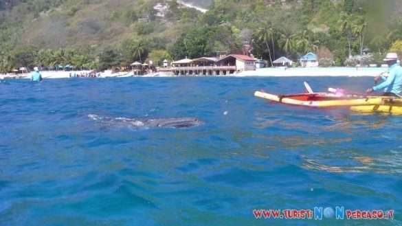 Moalboal Cebu Fhilippines