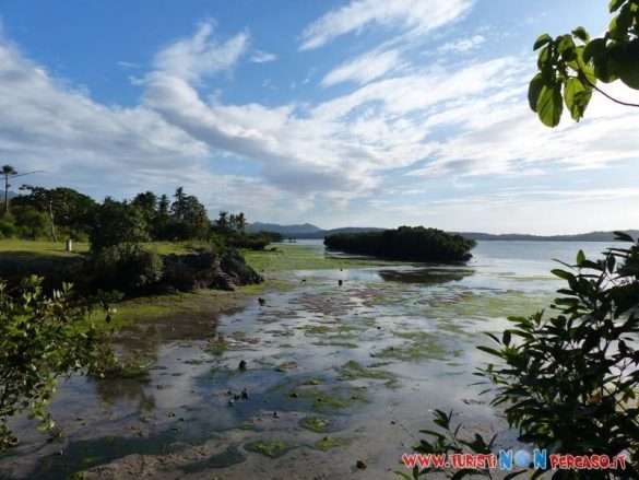 Moalboal Cebu Fhilippines