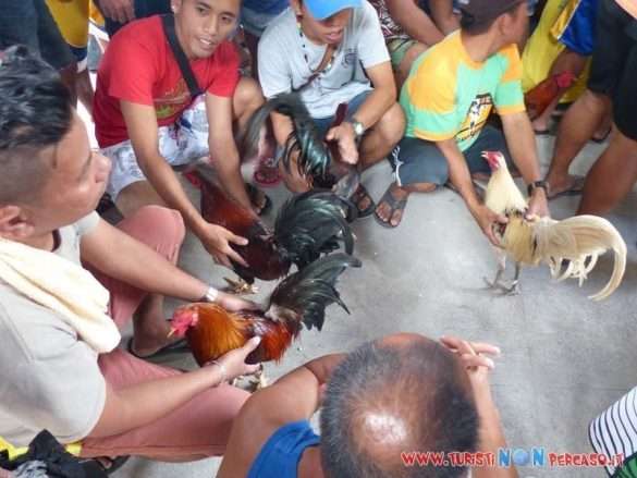 Moalboal Cebu Fhilippines