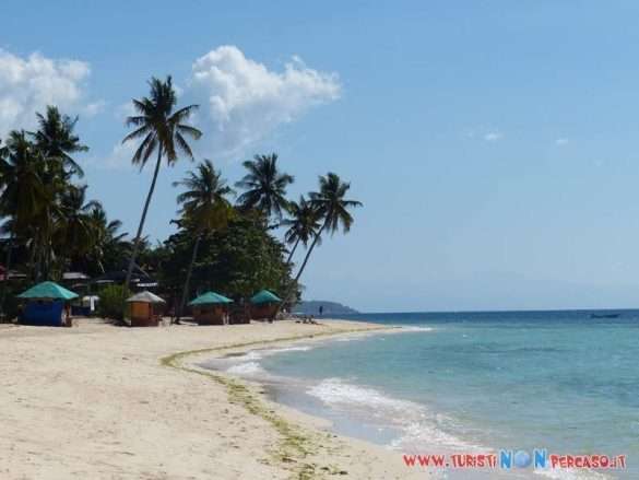 Moalboal Cebu Fhilippines