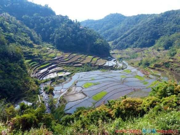 risaia banaue