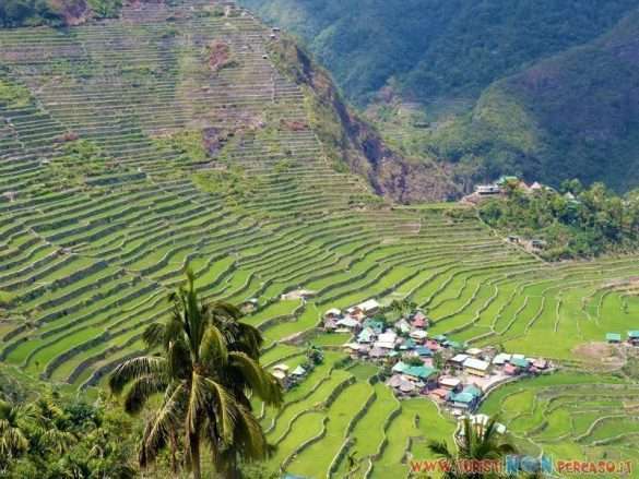 Risaie terrazzate di Batad a Banaue nelle Filippine