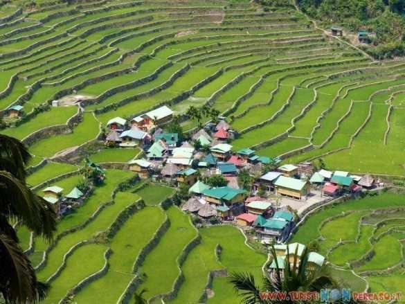 risaie di Batad