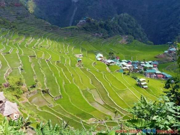 risaie di Batad