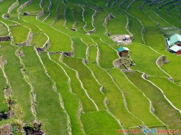 risaie di Batad