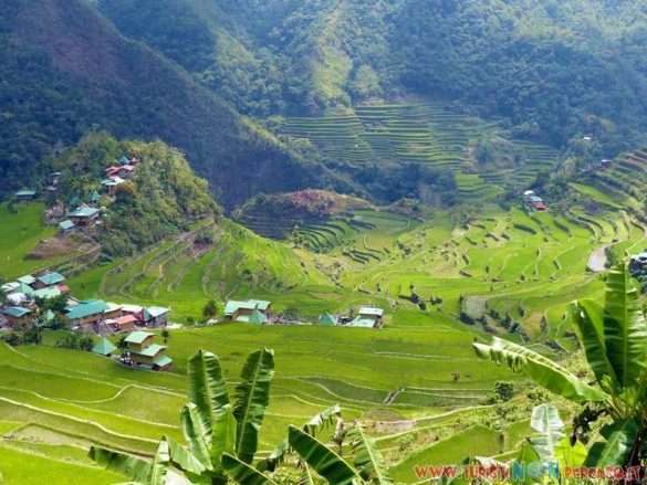risaie di Batad