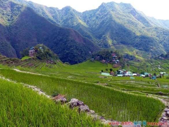 risaie di Batad