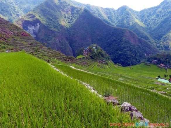 risaie di Batad