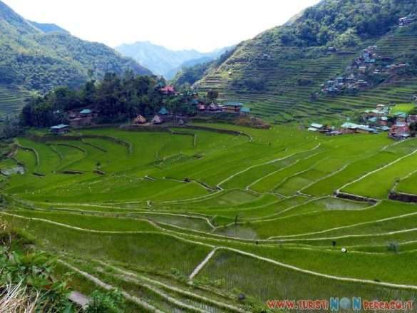 risaie di Batad
