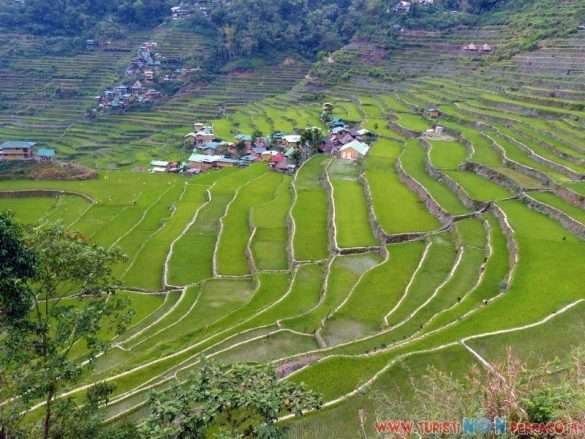 risaie di Batad