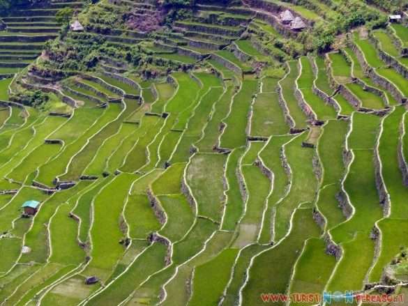 le risaie di Batad