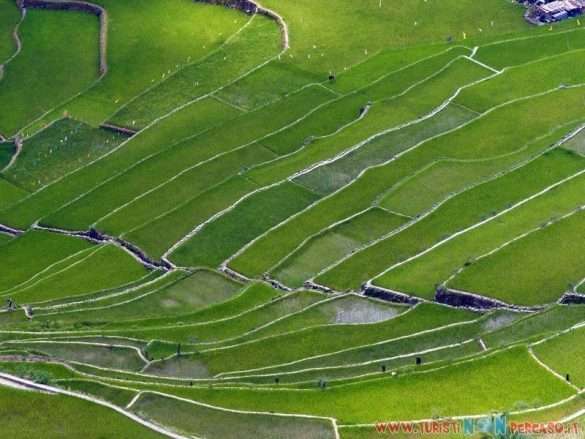 le risaie di Batad
