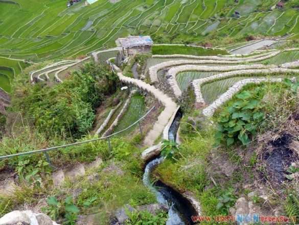 le risaie di Batad