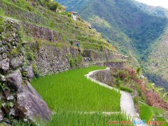 le risaie di Batad