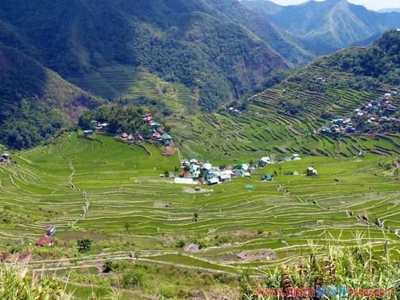 risaie di Batad