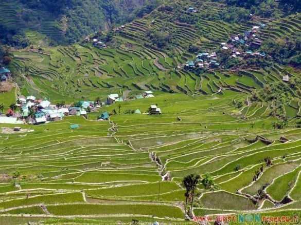 risaie di Batad
