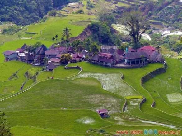 risaie di Batad
