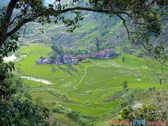 risaie di Batad