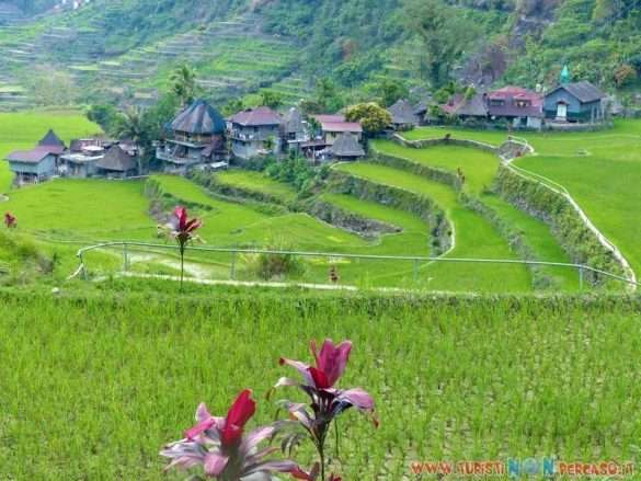 risaie di Batad