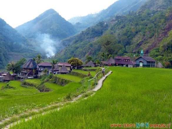 risaie di Batad