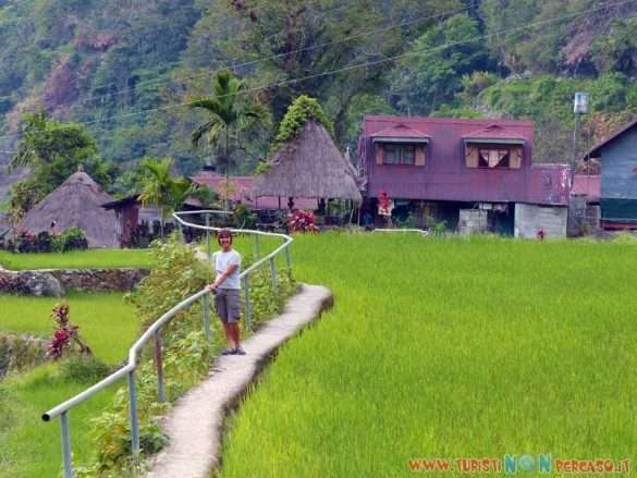 risaie di Batad