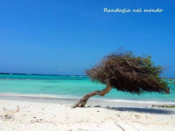 Mangel halto beach