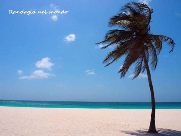 Mangel halto beach