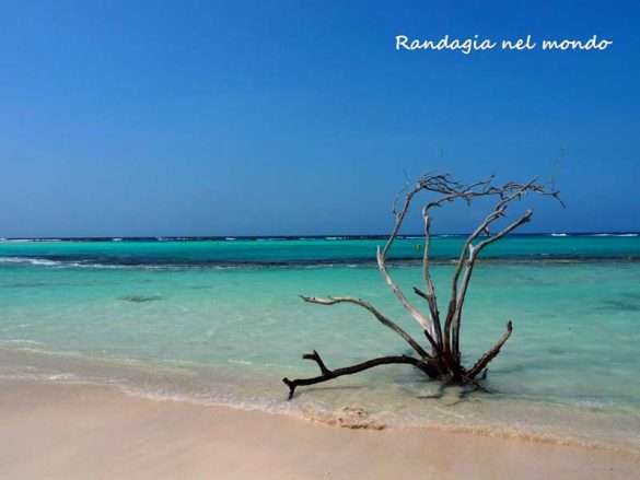 Mangel halto beach